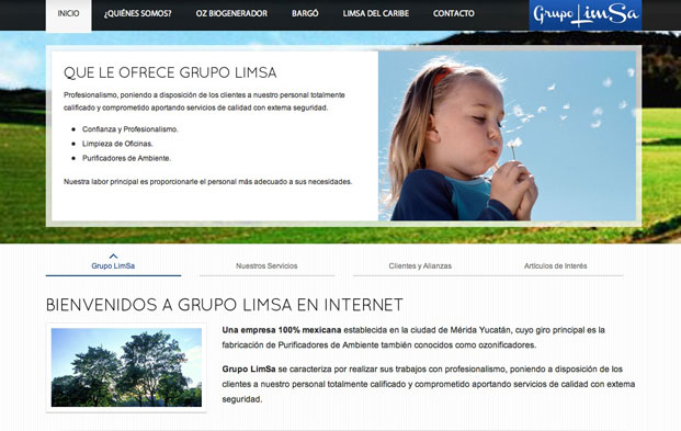 Desarrollo de pagina de Internet para Grupo Limsa