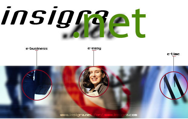 Pagina de Internet para Insigra en la ciudad de Dallas, TX.